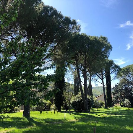 Gite Des Pins Saint-Maurice-dʼIbie Exteriör bild