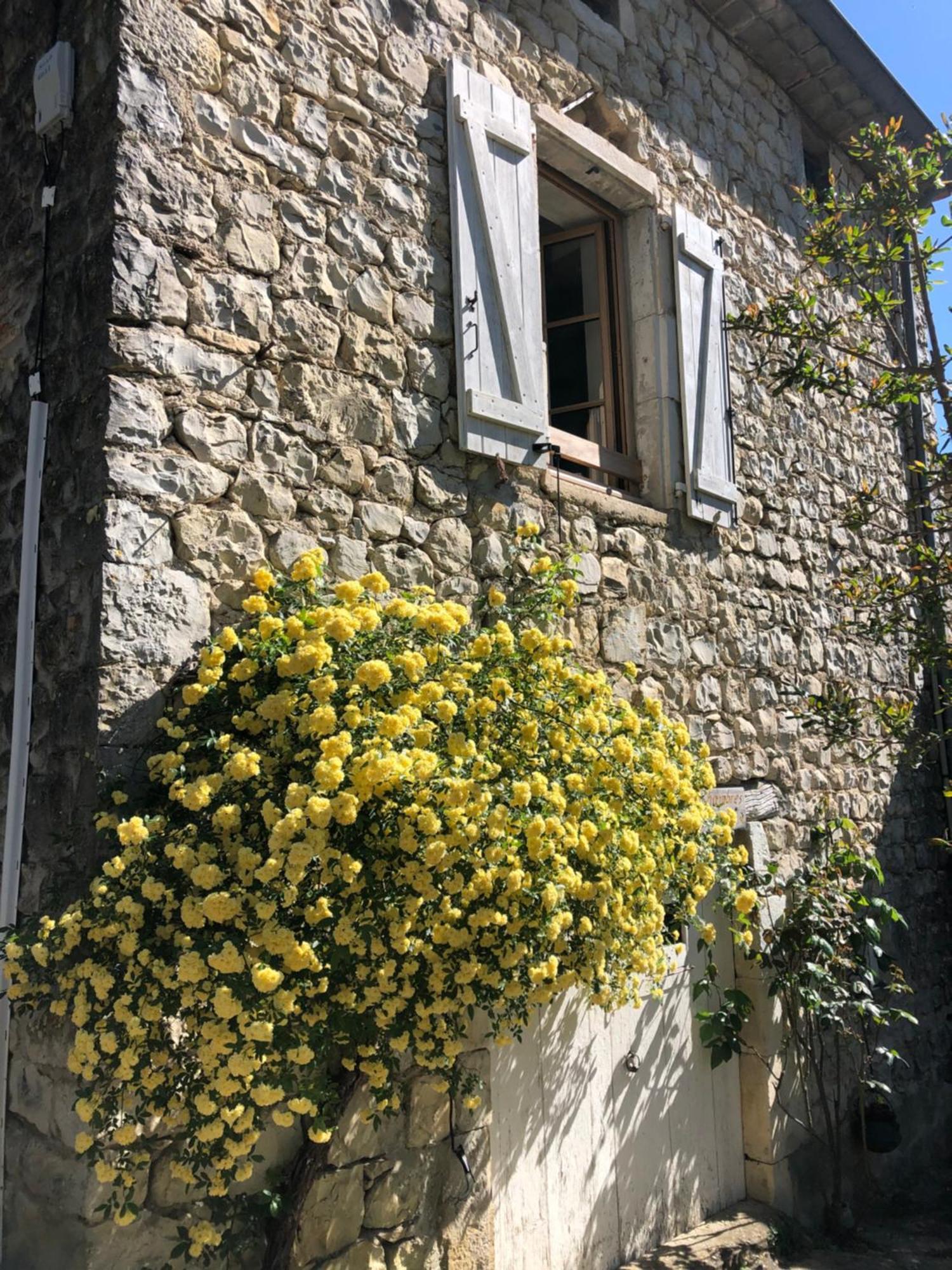 Gite Des Pins Saint-Maurice-dʼIbie Exteriör bild